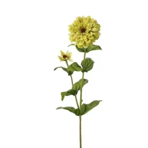 Flor Zinnia color Verde - Amarillo de 10 x 20 x 4000.00 cm3