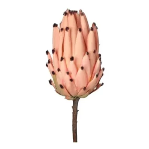 Protea color Rosado de 10 x 20 x 4000.00 cm3