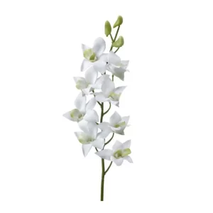 Dendrobium color Blanco de 69 cm
