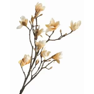 Rama magnolia color Beige de 107 cm