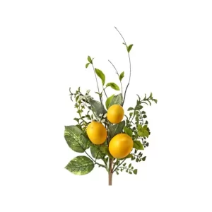 Rama Limón color Verde - Amarillo de 56 cm