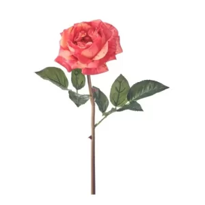 Rosa Marmolada color Rosada - Blanco  de 56 cm