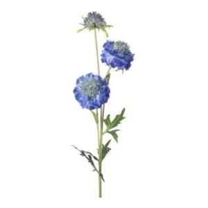 Scabiosa color Azul de 76 cm