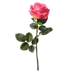 Rosa color Rosado de 67 cm