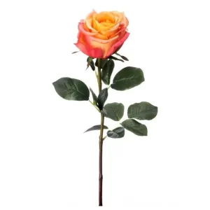 Rosa color Anaranjado  de 67 cm