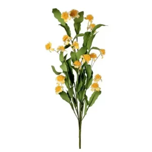 Plantas Ranunculus color Amarillo -Verde  de 89 cm