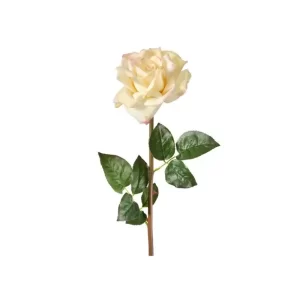 Rosa color Blanco  de 64 cm