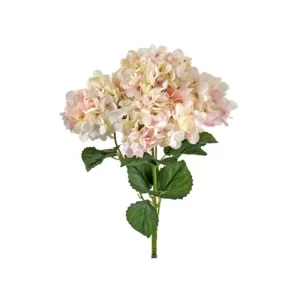 Hortensias color Beige - Rosado  de 48 cm
