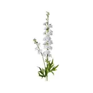 Delphinium color Blanco de 85 cm
