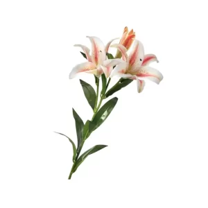 Lirio color Rosado - Blanco de 86 cm