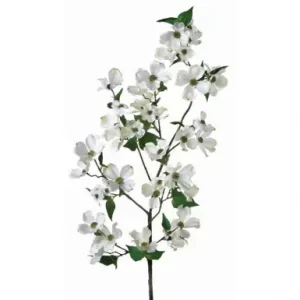 Cornus color Blanco de  122 cm