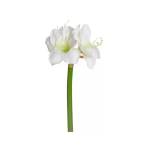 Amarilis color Blanco  de  69 cm