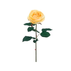 Rosa  color Amarillo de  51 cm