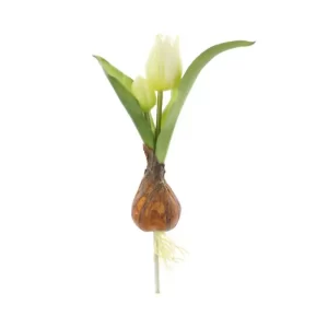 Tulipán  color Blanco  de  20 cm
