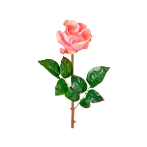 Rosa color Rosado de  61 cm