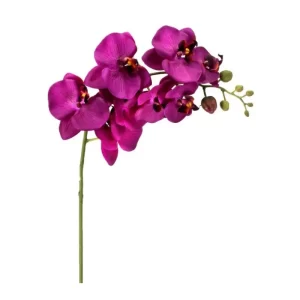 Phalaenopsis Color Morado De 86 Cm