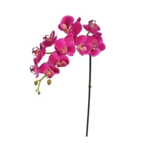 Phalaenopsis Color Fucsia De 61 Cm