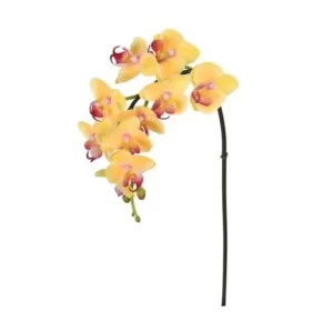 Phalaenopsis Color Amarillo De 61 Cm