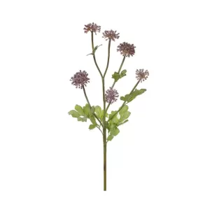 Allium color Morado de 45 cm