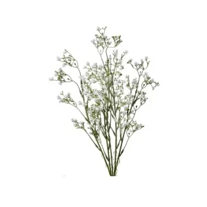 Arreglo Acacia color Blanco de 46 cm
