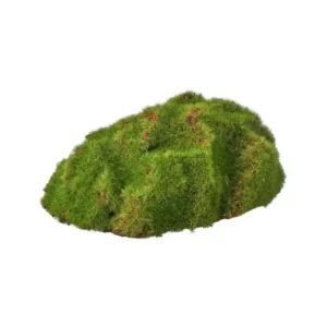 Monticulo Musgo color Verde de 15 x 8 cm
