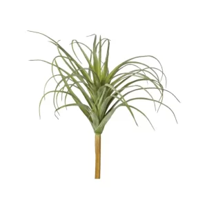 Planta Rizada color Verde de 20cm