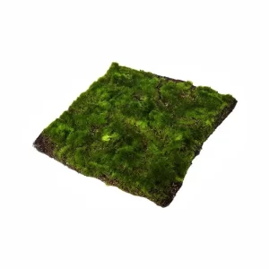 Alfombra Musgo color Verde de 41 x 41 cm2