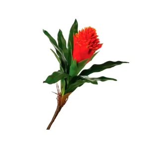 Bromelia color Anaranjada de 33cm