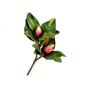 Capullo Magnolia color Verde - Rosado de 63.5cm