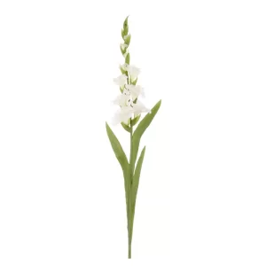 Gladiola color blanco - verde de 17,78 x 12,7 x 107,95 cm