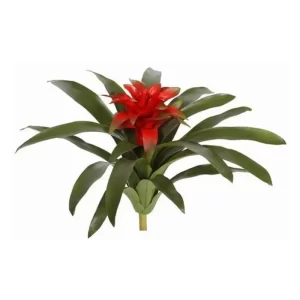 Bromelia Hojas color rojo de 55,88 x 55,88 x 48,26 cm