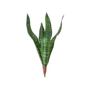Follaje Sanseveria color Verde de 51cm
