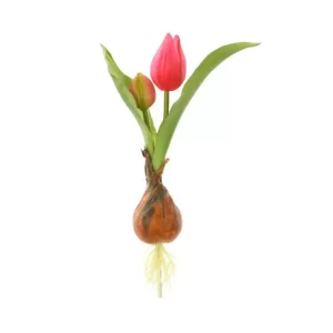 Tulipán  color Rosado  de  20 cm
