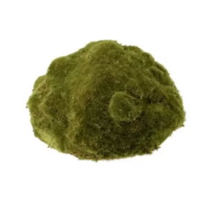 Topiario Musgo color Verde de 25x15 cm