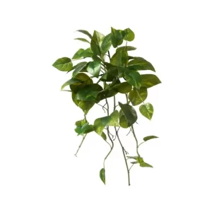 Planta Pothos color Verde de 60cm