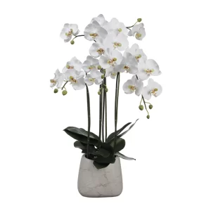 Phalaenopsis Maceta Mármol color Blanco de  x 89 cm