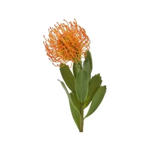 Protea color Amarillo de 53cm