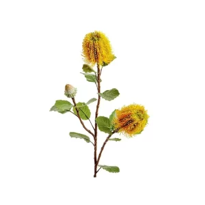 Banksia color Amarillo de 71cm