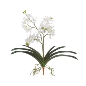 Orquídea Vanda Lamellata color blanco - verde de 45,72 x 30,48 x 58,42 cm