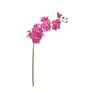 Rama Phalaenopsis color fucsia de 11,43 x 5,08 x 60,96 cm