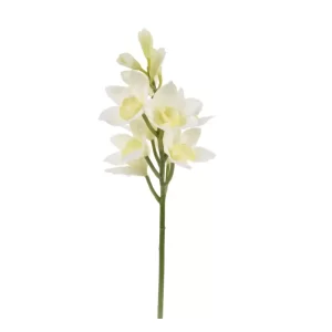 Orquídea Barco Abierta color blanco - beige de  17,78 x 17,78  x 55,88 cm