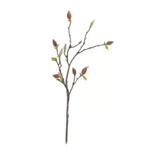 Rama Brotes Magnolia color marrón - verde de 20,32 x 15,24 x 96,52 cm