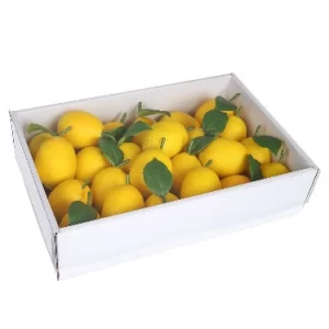 Limones -Set 24 color Amarillo de  0 x  34 x 9 x 24 cm