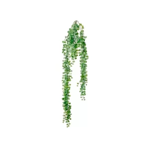Arbusto Colgante color Verde de  76 cm