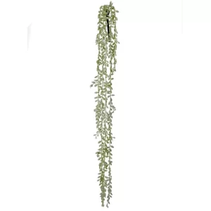 Suculenta Colgante color Verde - Blanco de  89 cm