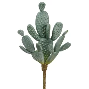 Cactus Pera color Verde - Gris de  0 x  0 x 27 x 0 cm