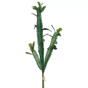 Follaje Cactus color Verde de  0 x  0 x 37 x 0 cm