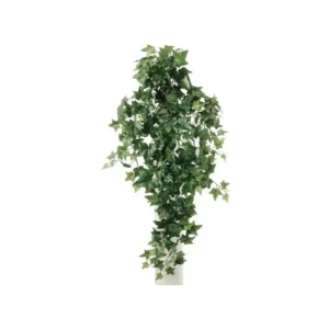 Hiedra Inglesa color Verde - Blanco de 280cm