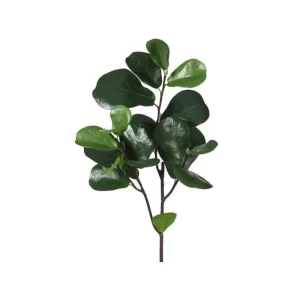 Ficus color Verde de 71cm