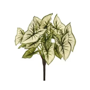 Planta Syngonium color Verde - Blanco  de 36 cm
